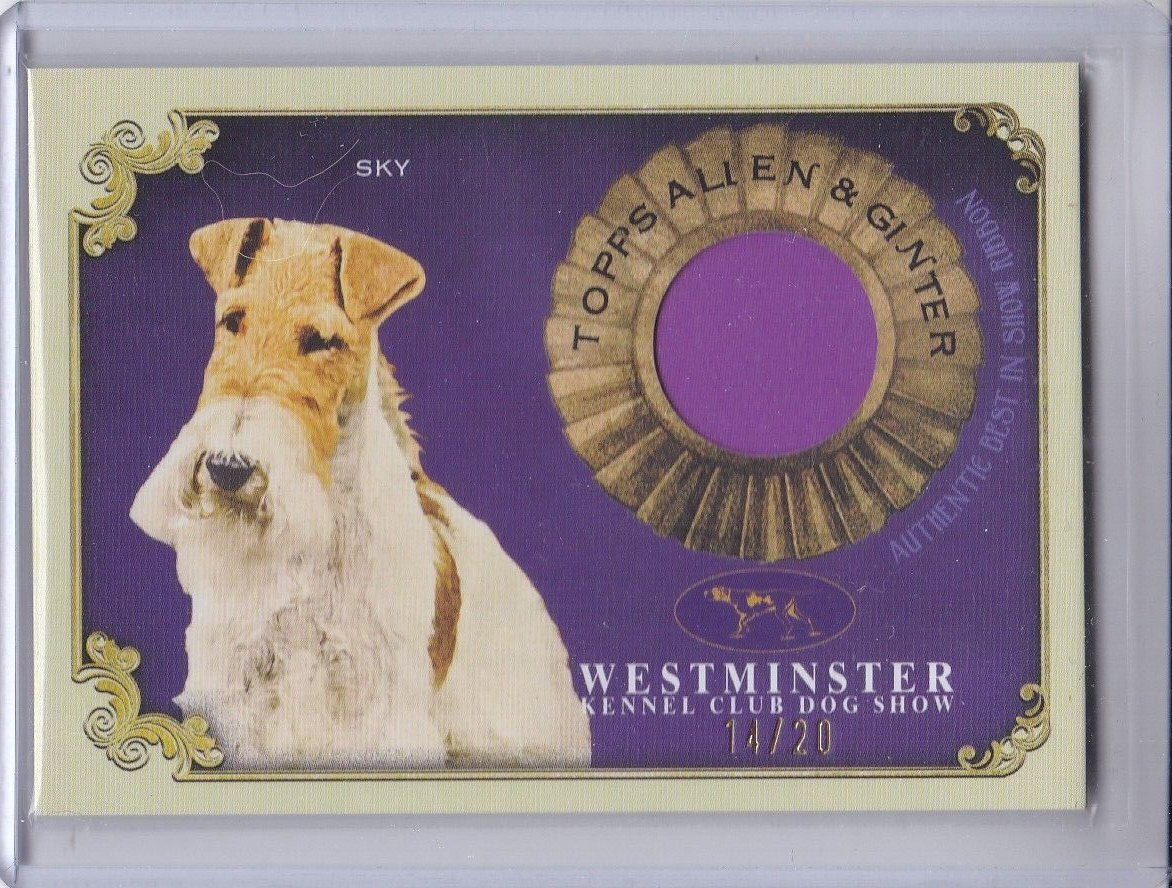 2024 TOPPS ALLEN GINTER WESTMINSTER DOG SHOW RELIC 