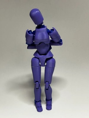 Maiden 13 | SPECIAL EDITION Dummy 13 Action Figure | 3D Printed Articulated Toy