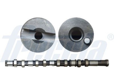 FRECCIA Nockenwelle CM05-2299 für HYUNDAI Travel TQ Cargo STAREX Bus A1 H350 HR