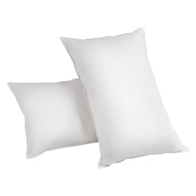 2 Pcs Duck Feathers Down Pillow White Cotton Hypo Allergy Free W