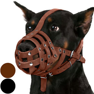 leather dog muzzle