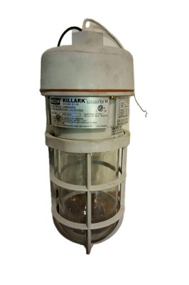 Killark NV2IG15 Gray Incandescent Body With Killark VCGP-100 Globe & NV2GG Cage