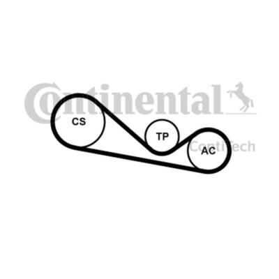 Cinghia Poly-V 5PK785 CONTITECH (Continental) - Cinghia Trapezoidale Striata Per Auto
