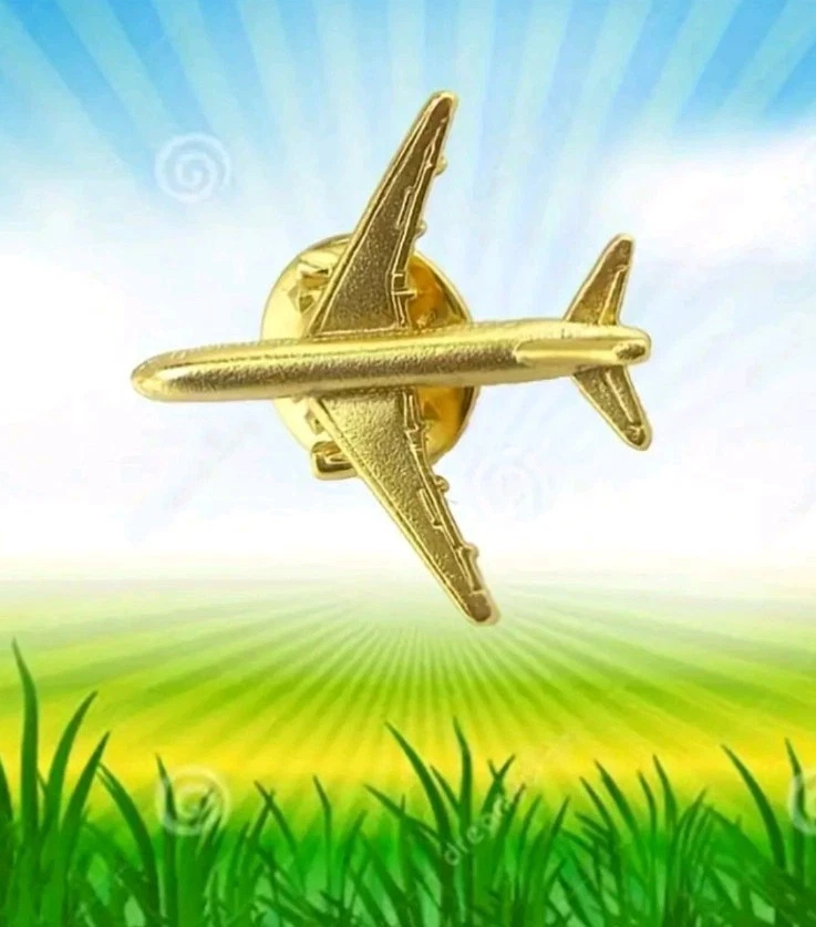 Pin Flugzeug Passagierflugzeug Pilot Flugpilot Anstecker Badge - Bild 2 von 4