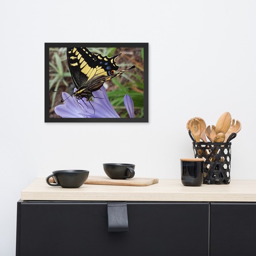 Framed poster of Butterfly on Purple Flower Photo Print - Picture 6 of 10