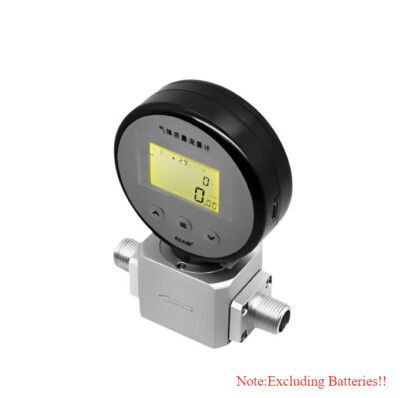 Digital Gas Mass Flowmeter Tester Gas Flowmeter Argon Max 100L/Min New