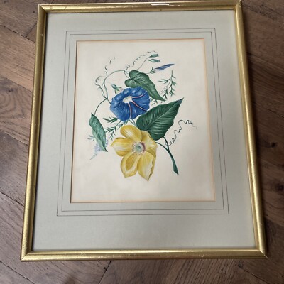 Regency Bleistiftzeichnung von Blumen um 1815