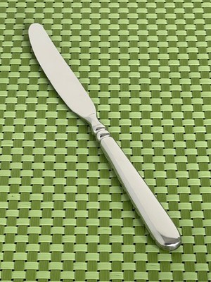 Oneida Community EASTVIEW Stainless Dinner Knife Glossy NEW Flatware - 9 1/2''