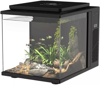 Maxspect Pico Cube Desktop Wi-Fi Enabled 2 Gallon Smart Aquarium Kit - Includes