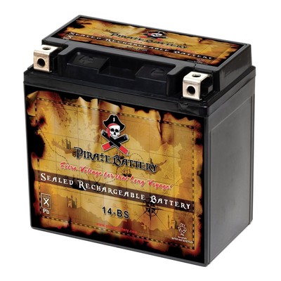 YTX14-BS ATV Battery for Honda 450cc TRX450 FourTrax Foreman S ES 1998-2004