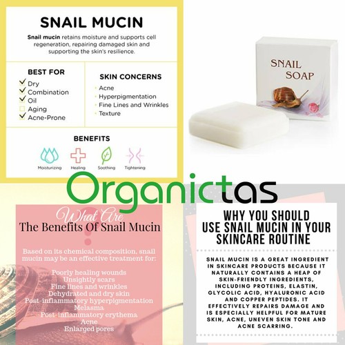 SNAIL SOAP Acne, Scars, Stretch Marks, Pigmentation, Anti-Aging, Age Spots, 30g - Picture 15 of 48