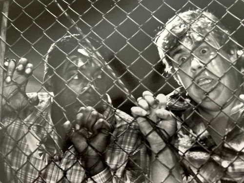 GOING BERSERK Drei (3) 1983 Filmfotos John Candy Alley Mills Ernie Hudson - Bild 7 von 7
