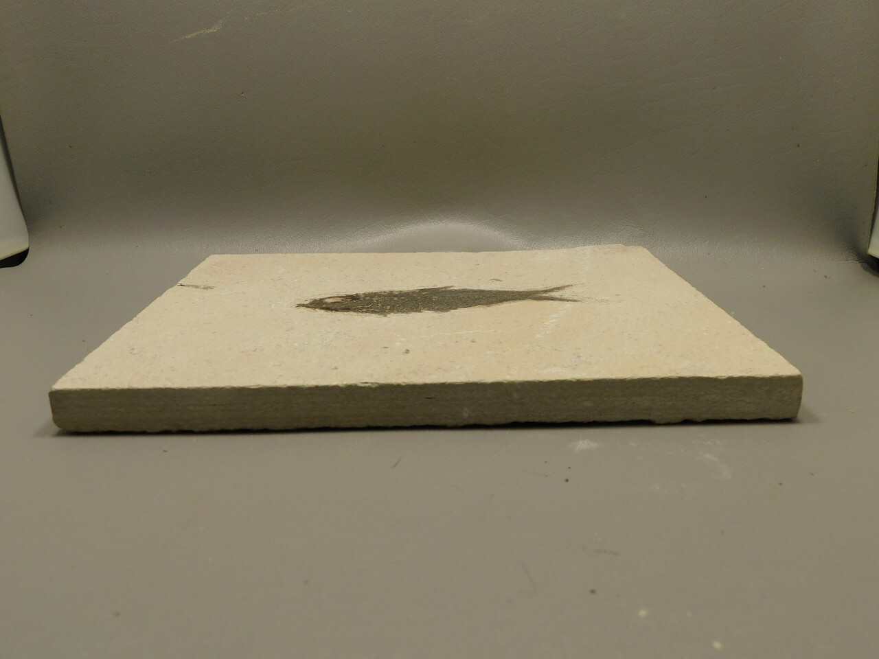 Picture 5 of 6