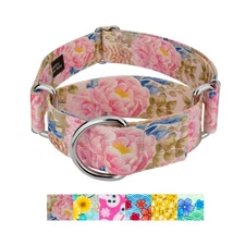 Country Brook Petz® HossFit Jr Wide Martingale Dog Collar