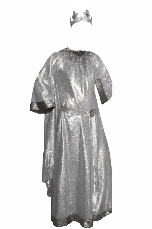 Fantasy Medieval Silver & Black King Costume Sparkly
