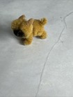 Picture 10 of 21