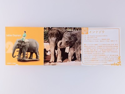 Indian Elephant Zoorasia Lunch Jungle Cracker Figure Collection