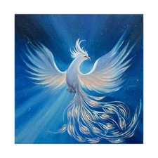 Original Art Phoenix Oil Painting Firebird on Canvas Artwork Fiery Bird Painting
