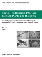 Jun J. Abe | Roots | Buch | Englisch (2003) | Xii | Springer Netherland