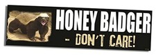 - Honey Badger, Don't Care - Car Magnet - 3 x 10 inch - Professionally Made