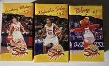 Lot of 3 Connecticut Sun Mascot Blaze Bobblehead Wnba Whalen Sales New