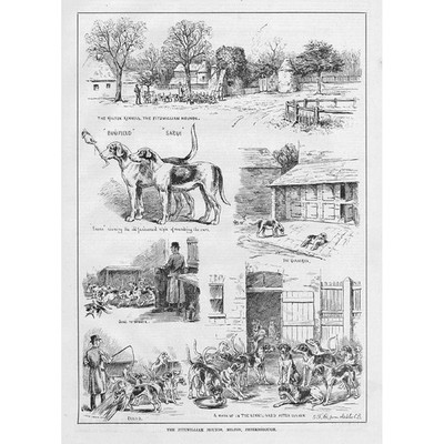 PETERBOROUGH The Fitzwilliam Hounds at Milton - Antique Print 1884