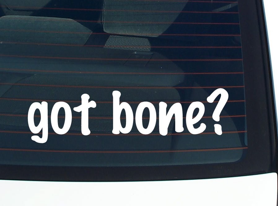 Got Bone Funny Car Decal Bumper Sticker Vinyl Window Joke