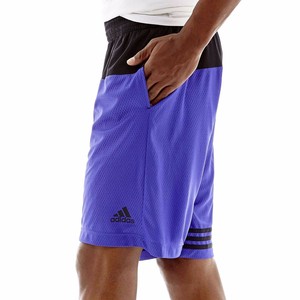 purple adidas shorts mens