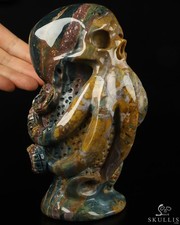 7.4" Indian Agate Carved Crystal Octopus Skull, Crystal Healing