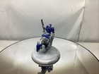 Warmachine- Cygnar Captain Jeremiah 1x metal model some paint #MS72639