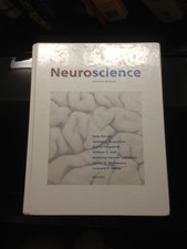 Neuroscience