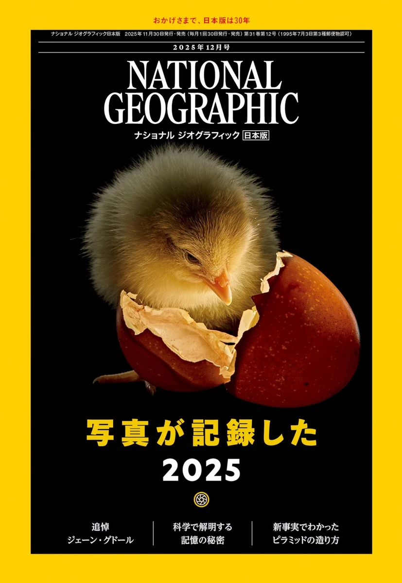 National Geographic Magazines in Japanese for sale | eBay