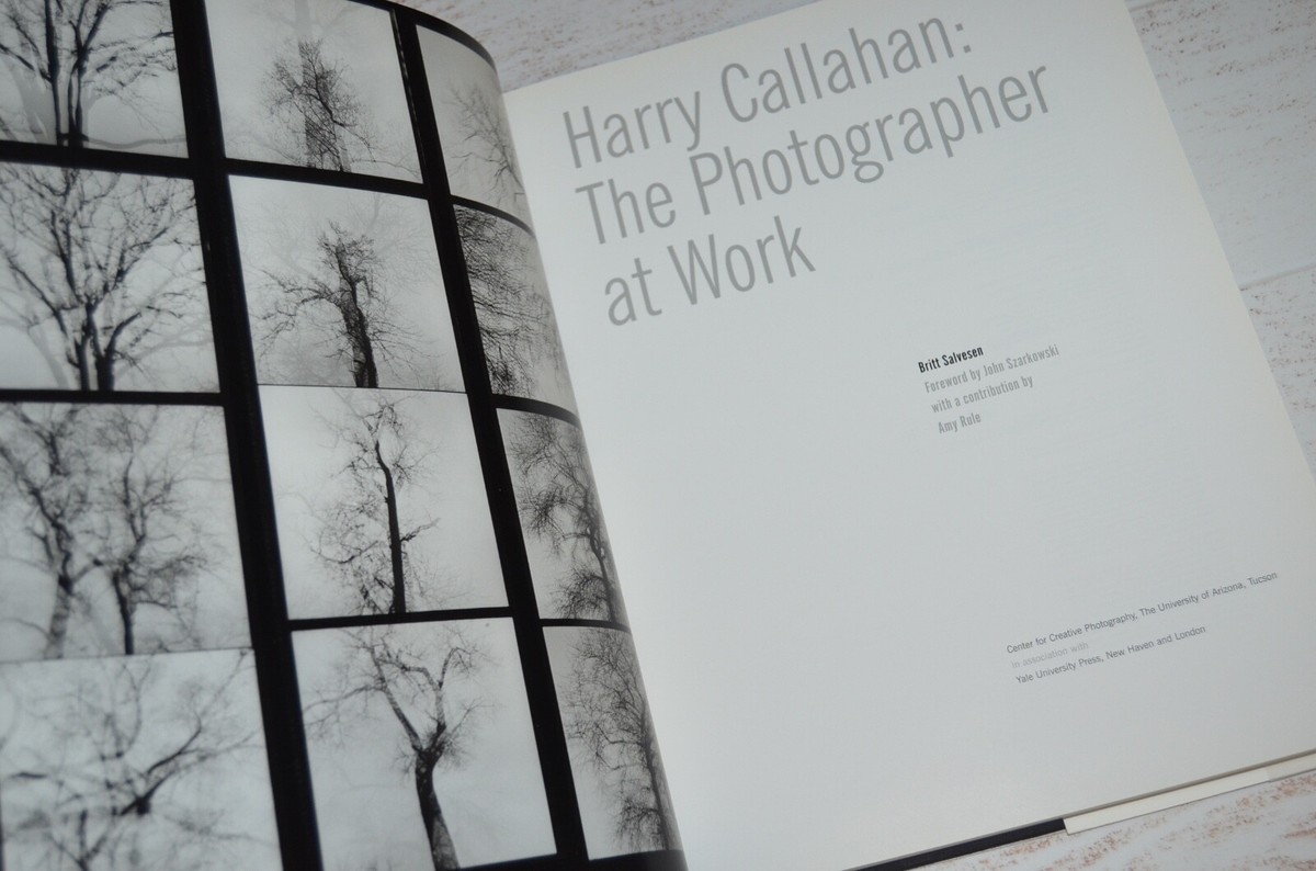Art - Harry Callahan The Photographer at Work by Britt