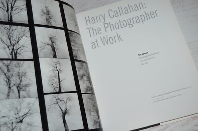 Art - Harry Callahan The Photographer at Work by Britt Salvesen