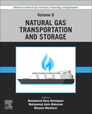 Advances in Natural Gas : Natural Gas Transportation and Storage, Paperback b...