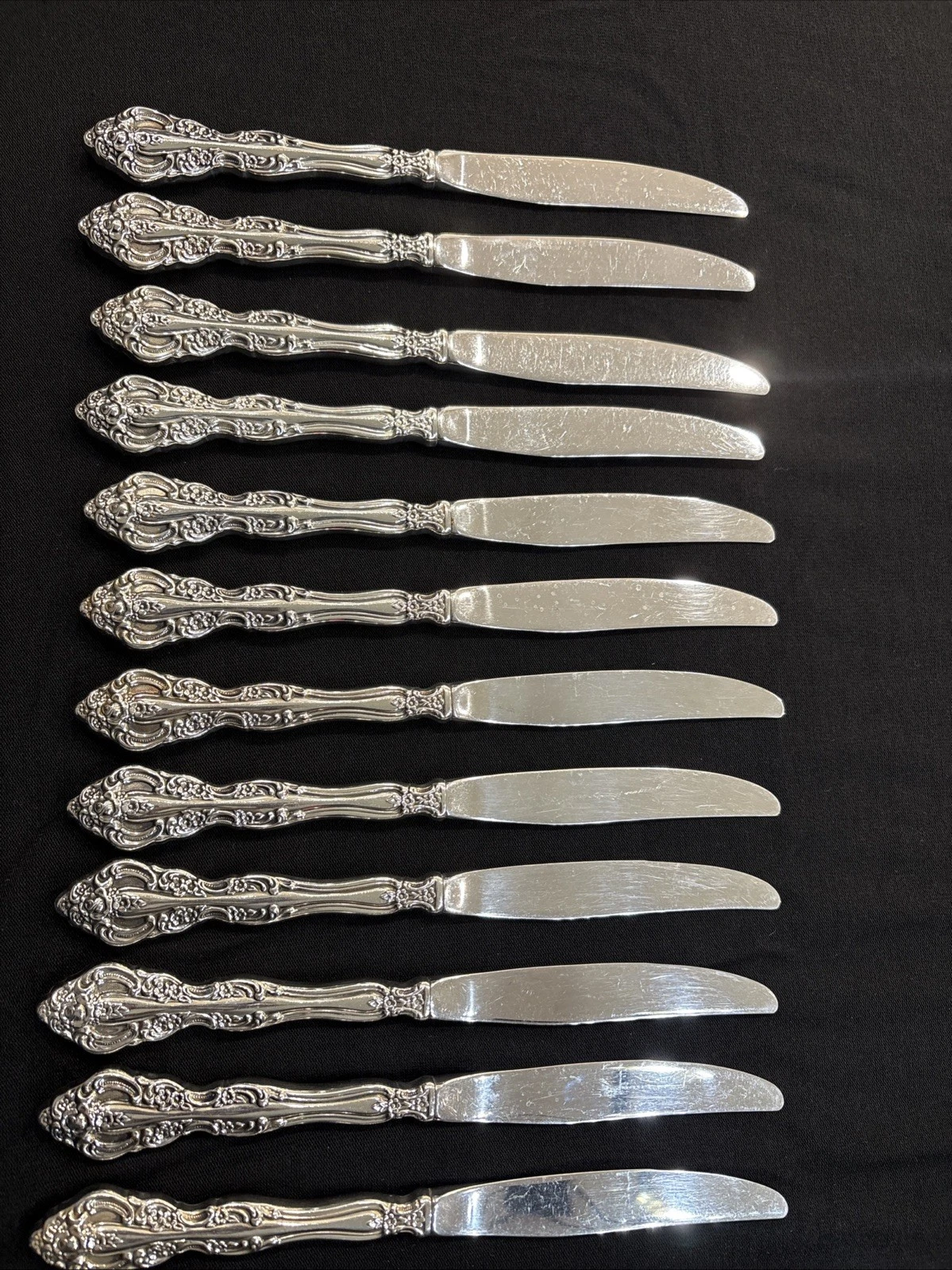 Oneida Stainless Michelangelo Serrated Steak Knife - Set of 12