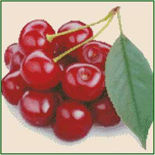 Cherries Fruit Series Counted Cross Stitch Chart No.41-107 