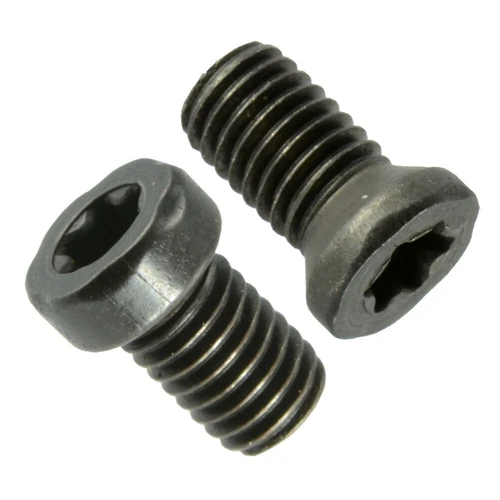 Black Oxide Torx Star Drive Fillister & Weaver Oval Head Gun Screws (10 pcs.)