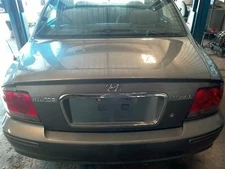 Rear Trunk/Hatch/Tailgate Fits 02-05 SONATA 10177924