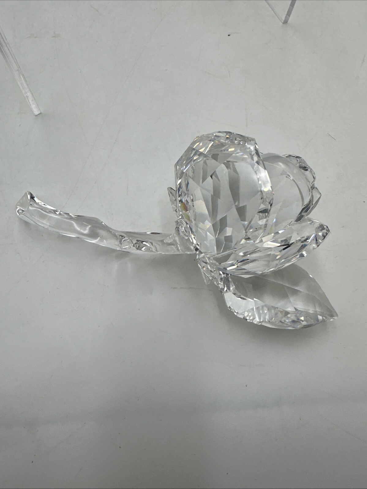 Picture 11 of 20