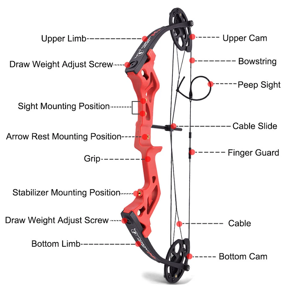 Kids Archery Compound Bow Kit Arrows 10-30lbs Sport Shooting HuntingTarget - Image 3 of 4