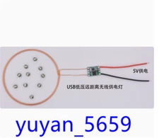 Taidacent Wireless LED Magnetic Inductive Coil Wireless Light Induction #3972 LY