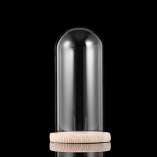 Glas Dome Blume Vase Glocke Display Fall Landschaft Weihnachten Stehen