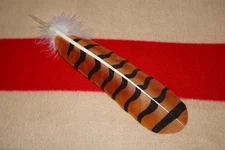 Native American hand painted Red-Tailed Hawk Feather