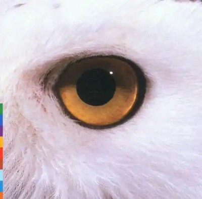 Mari Boine - Gula Gula