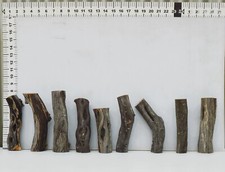 Manzanita Driftwood Nano stump Set, Orchid Mounts from ManzanitaDirect 0513-1