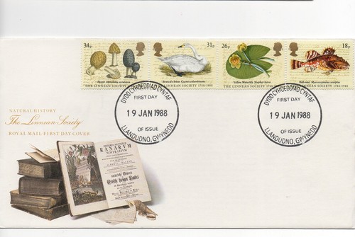 FDCs 1989 1988 1987 EN SU MAYORÍA SIN DIRECCIÓN - FDC Anuncio Múltiple ** Más Añadido ** - Imagen 23 de 72