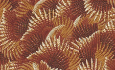 Wild Pheasants Fabric - Packed Brown Feathers - QT Quilting Treasures YARD
