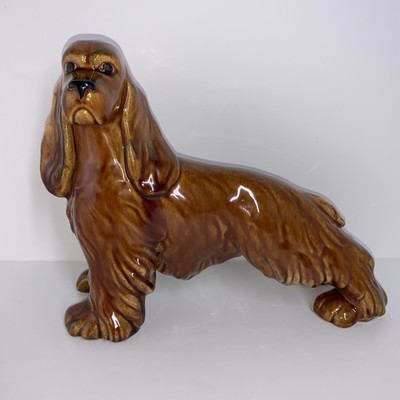 large cocker spaniel