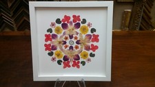 Real Pressed Flowers Mandala Style Art Framed